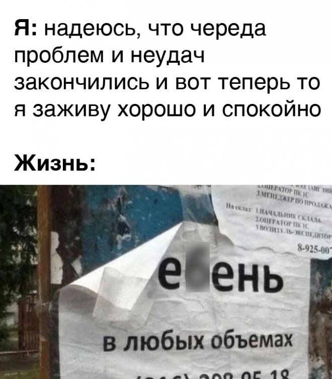 Смешные картинки для настроения