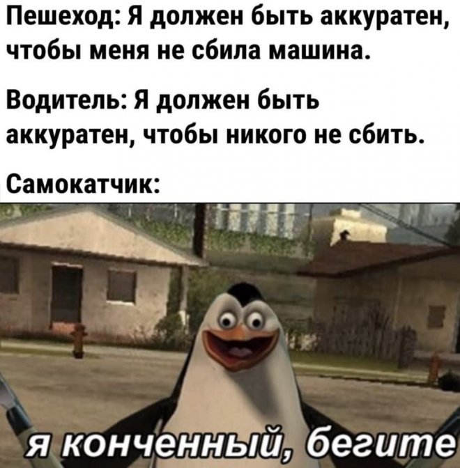 Смешные картинки для настроения