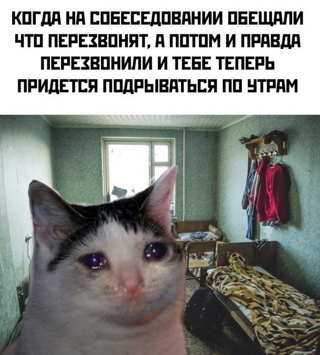 Мем
