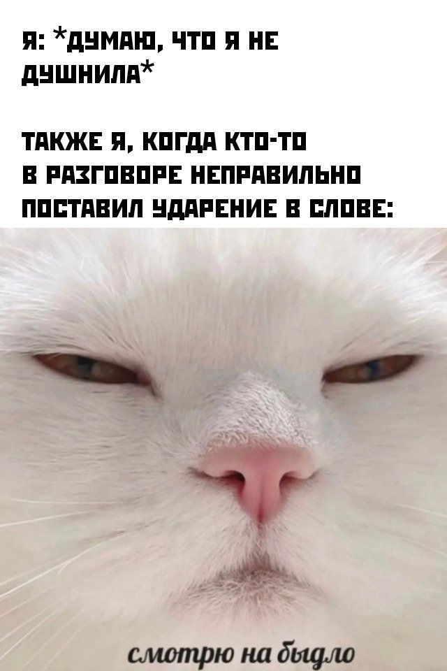 Смешные картинки