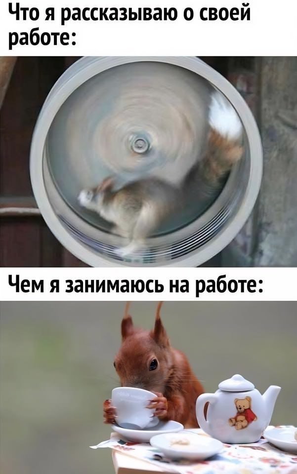 Смешные картинки