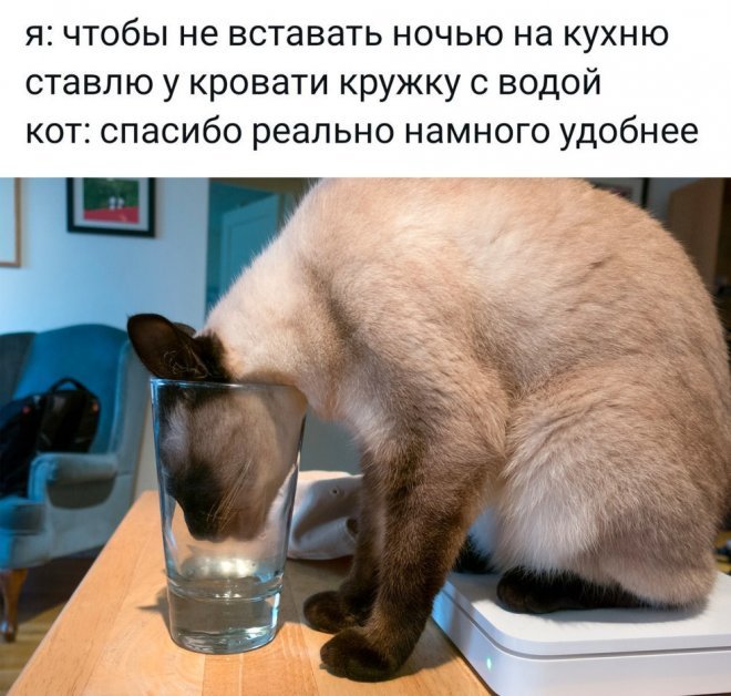 Смешные картинки