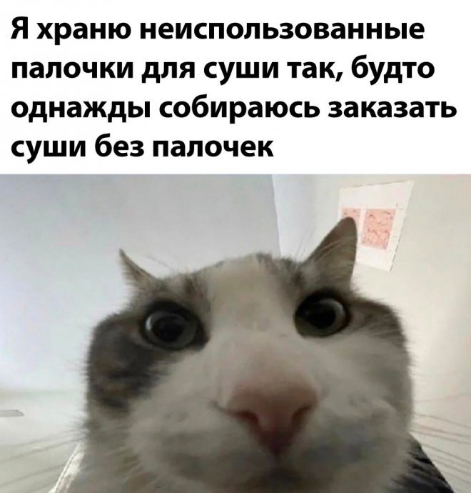 Смешные картинки