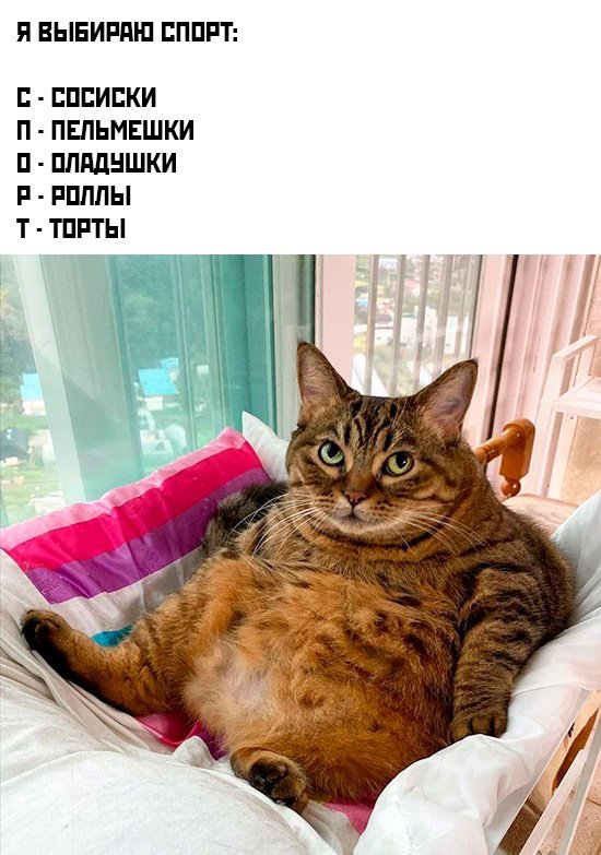 Смешные картинки