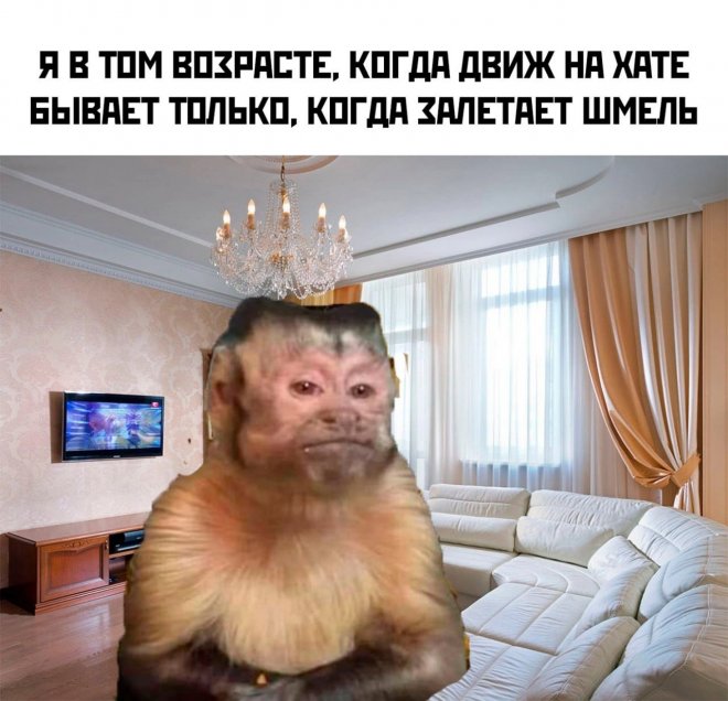 Смешные картинки