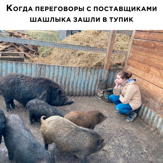 Смешные картинки