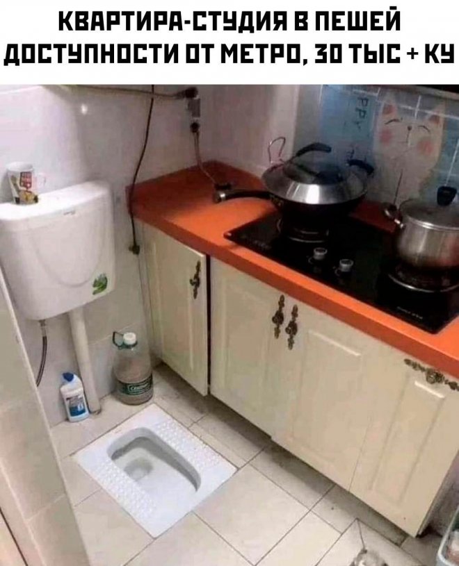 Смешные картинки