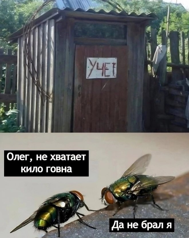Смешные картинки