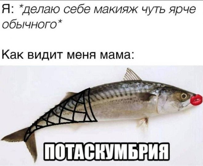 Смешные картинки