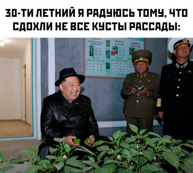 Смешные картинки