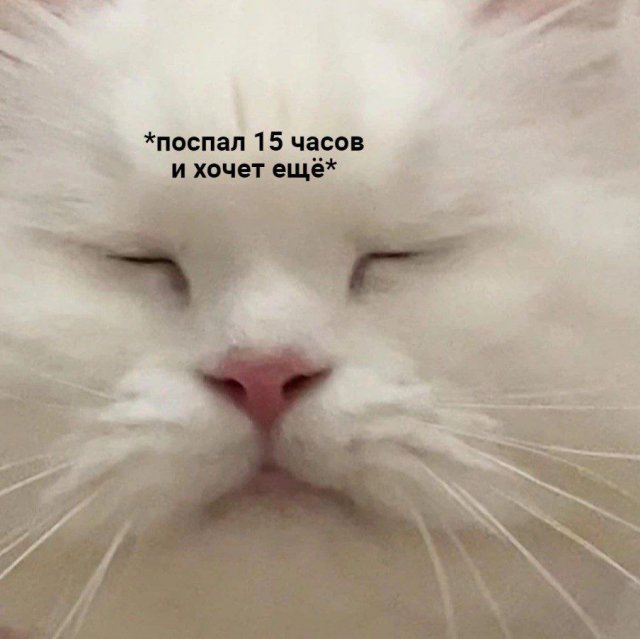 Смешные картинки