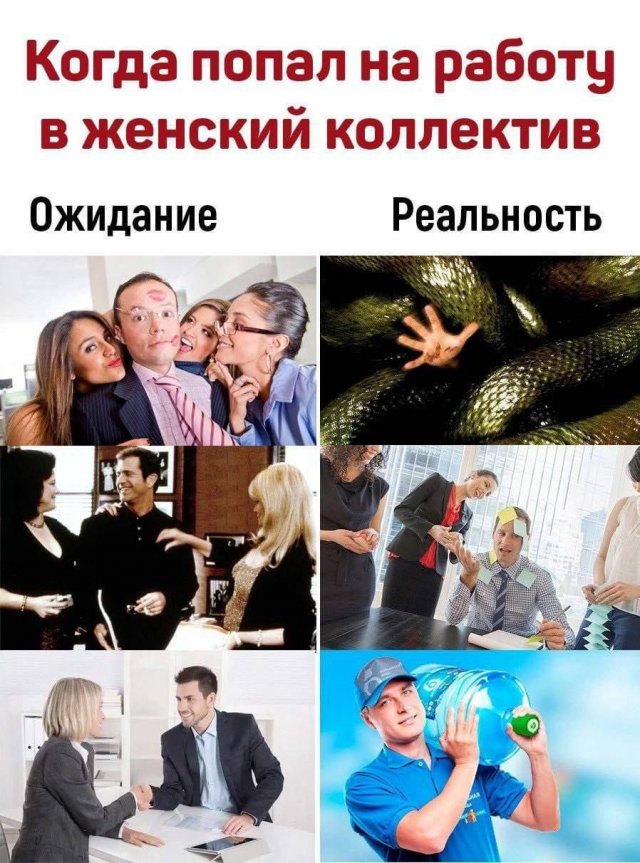 Смешные картинки