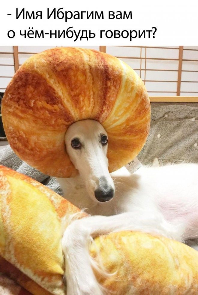 Смешные картинки