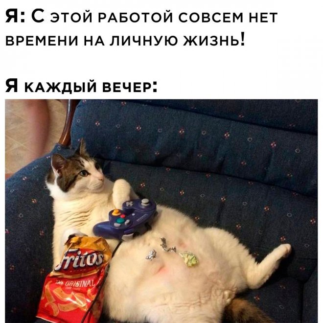 Смешные картинки