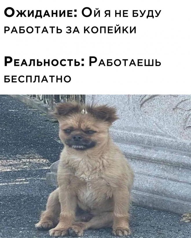 Смешные картинки