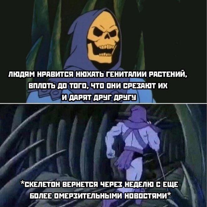 Смешные картинки