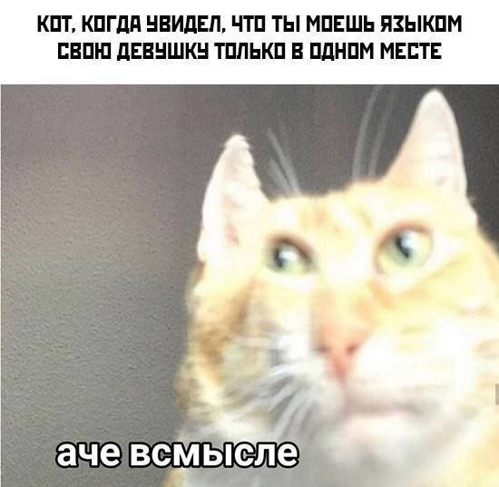 Пошлые мемы