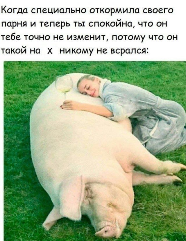 Пошлые мемы