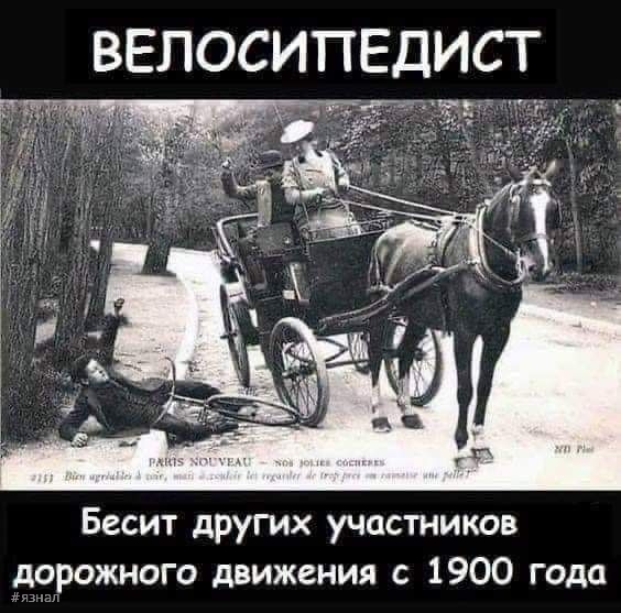 Велосепидист - бесит других участников дорожного движения с 1900 года