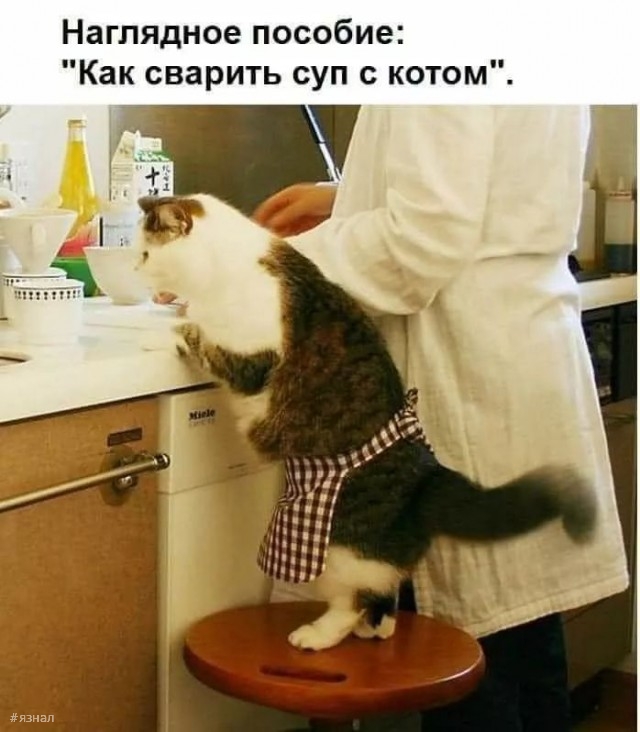 Смешной юмор в картинках
