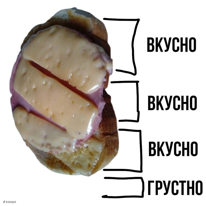 Смешные фото приколы с надписями