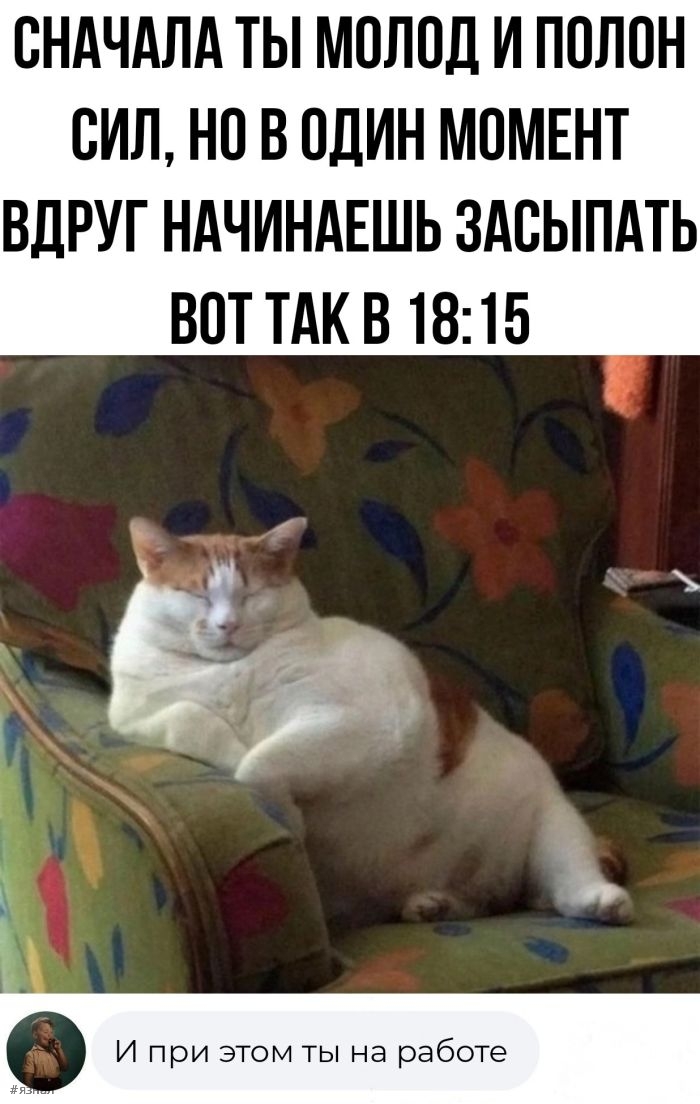 Смешные фото приколы с надписями