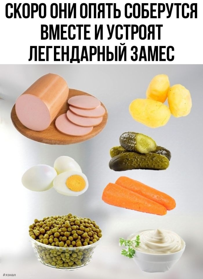 Смешные фото приколы с надписями