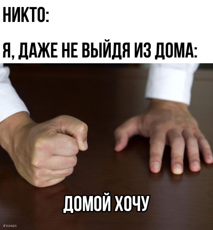 Смешные фото приколы с надписями