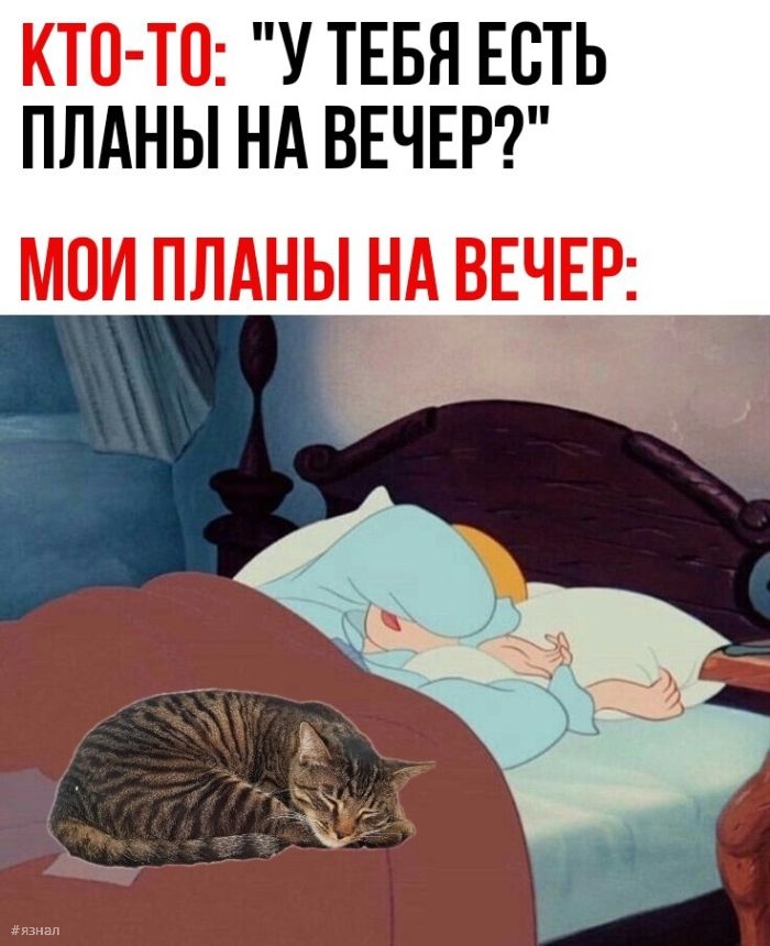 Смешные фото приколы с надписями