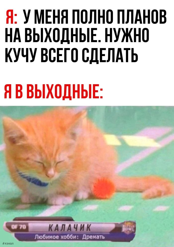 Смешные фото приколы с надписями