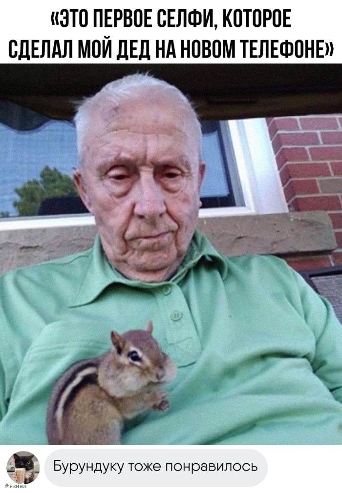 Смешные фото приколы с надписями