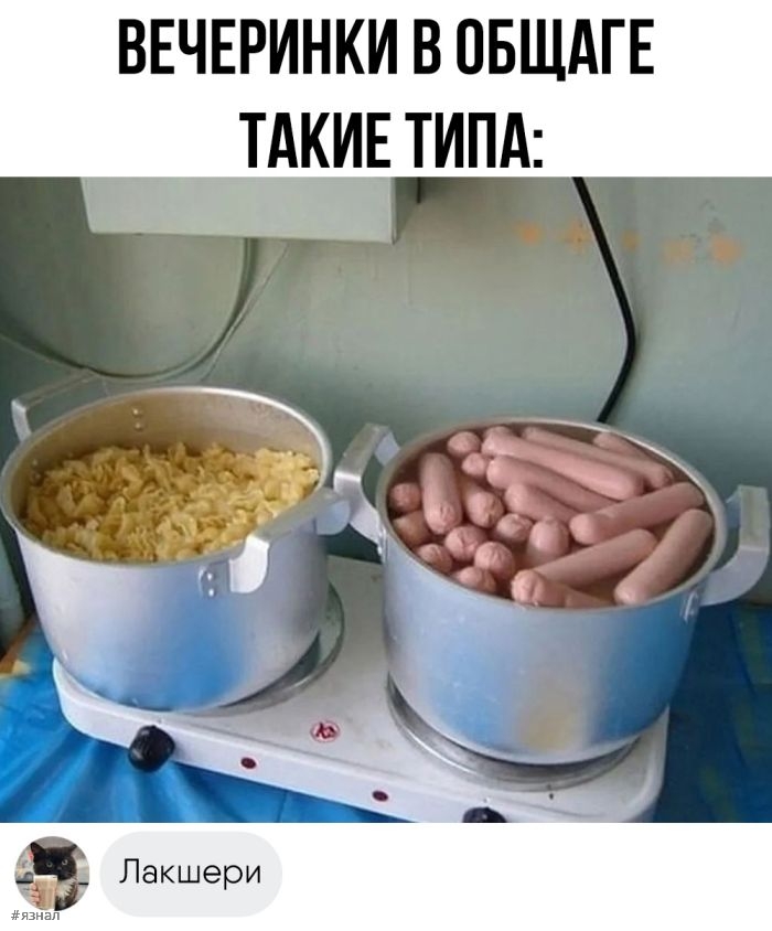 Смешные фото приколы с надписями