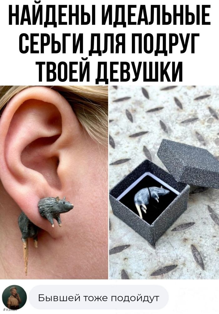 Смешные фото приколы с надписями