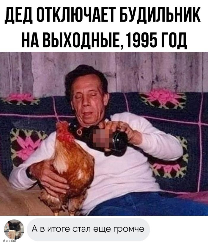 Смешные фото приколы с надписями