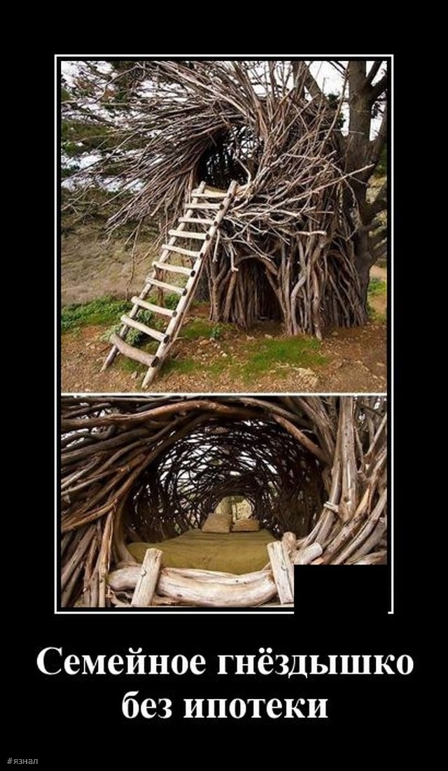 Смешные картинки