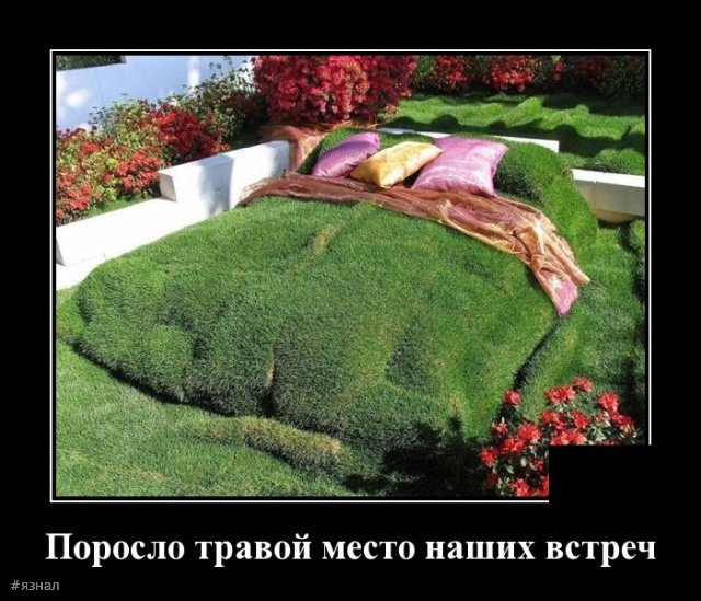 Смешные картинки