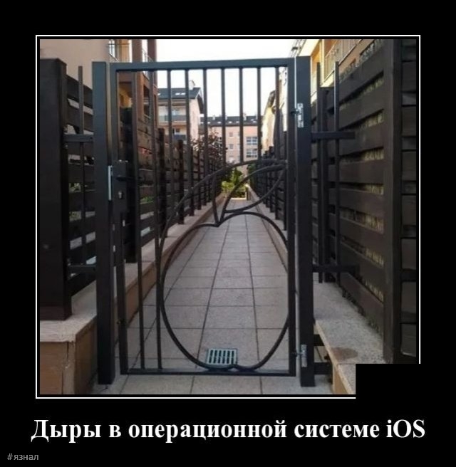 Смешные картинки