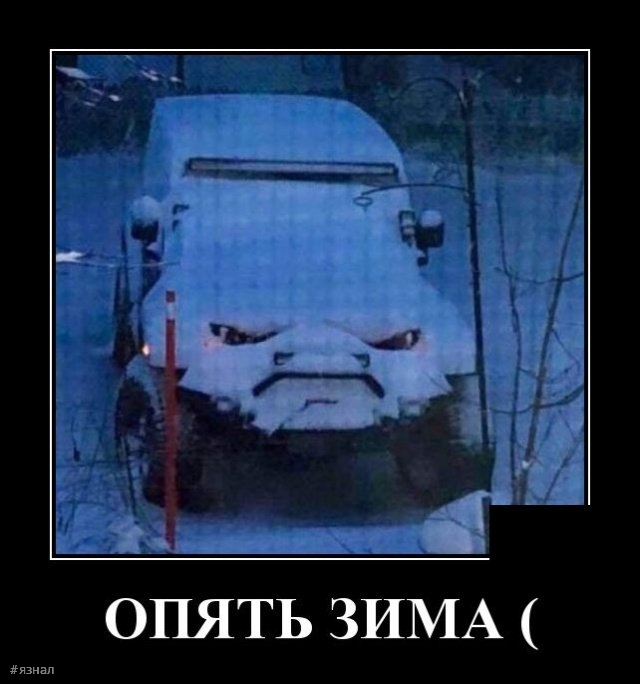 Смешные картинки