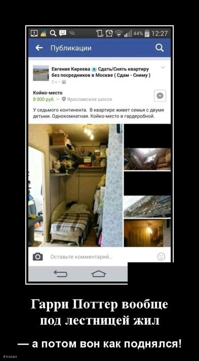 Смешные картинки