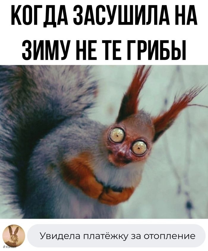 Смешные фото приколы с надписями