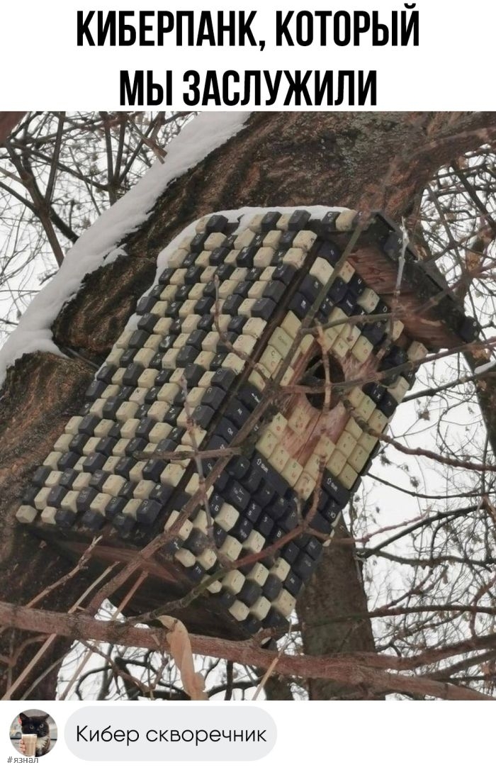 Смешные фото приколы с надписями