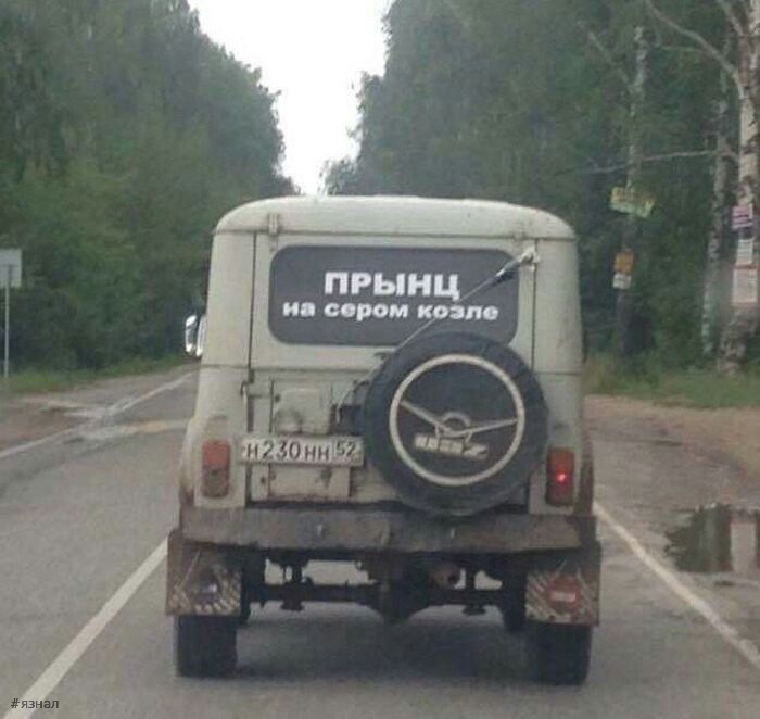 Юмор в картинках