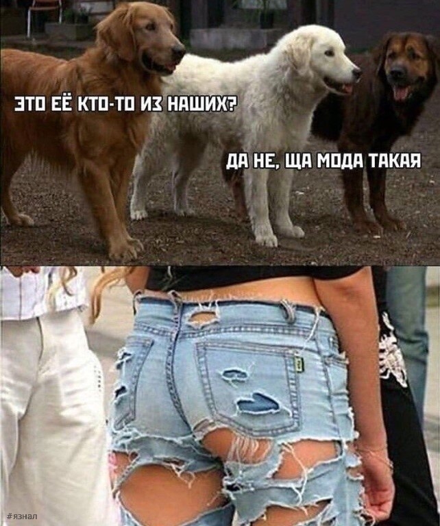 Юмор в картинках