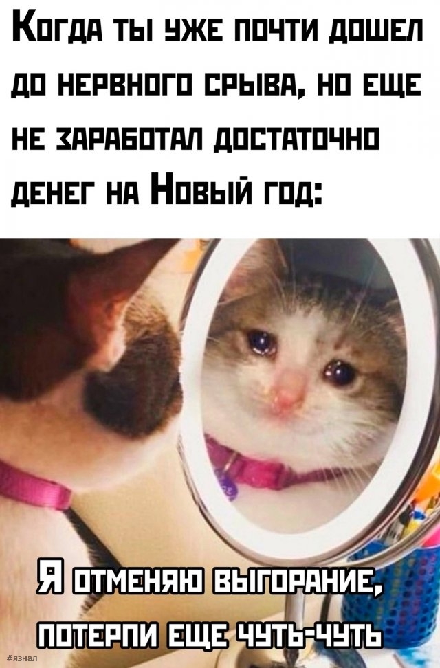 Смешные картинки со смыслом