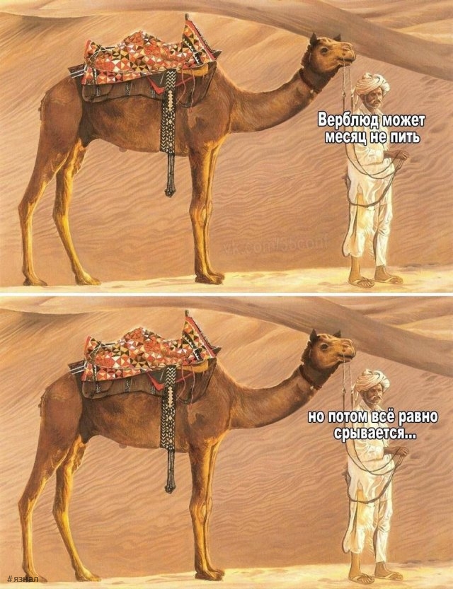 Смешные картинки со смыслом