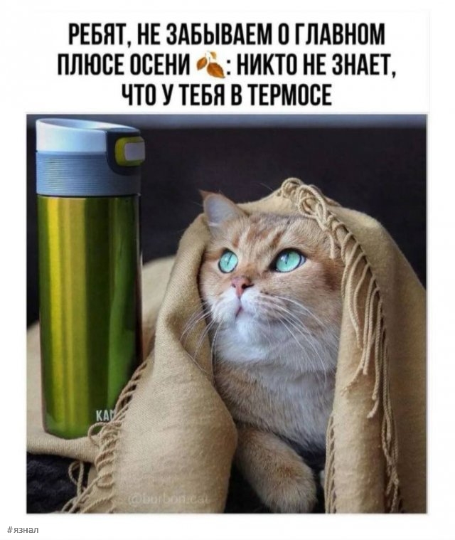 Смешные картинки со смыслом