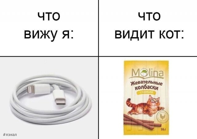 Смешные картинки со смыслом