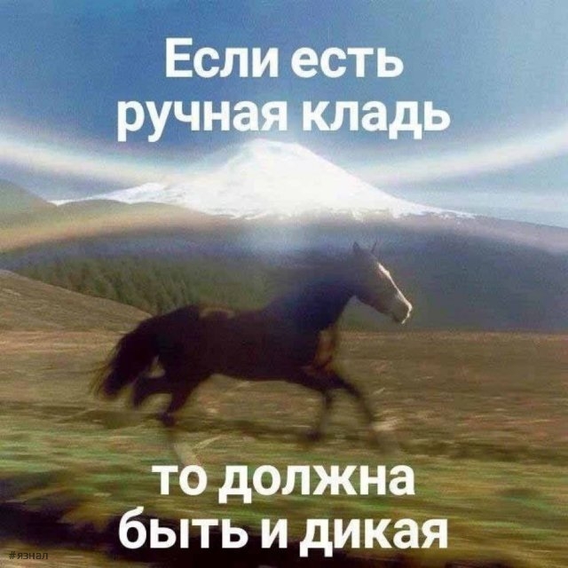 Смешные картинки со смыслом