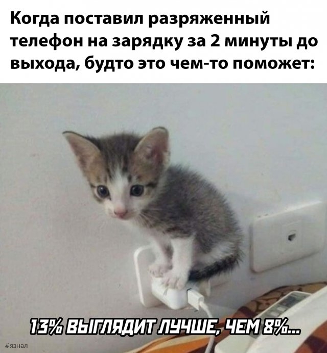 Смешные картинки со смыслом