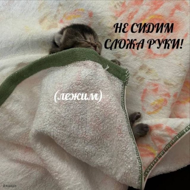 Смешные картинки со смыслом